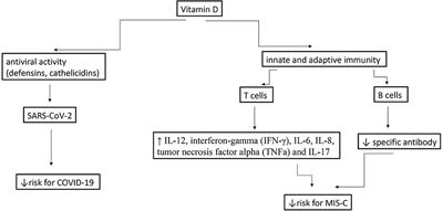 Vitamin D in Corona Virus Disease 2019 (COVID-19) Related Multisystem Inflammatory Syndrome in Children (MIS-C)